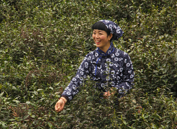 霓虹恶棍